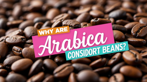 ARABICA