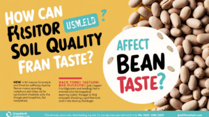 BEAN TASTE
