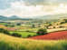 Brazil’s coffee industry