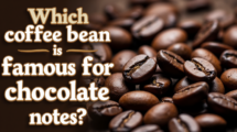 CHOCOLATE NOTES