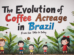 COFFEE EVOLUTION