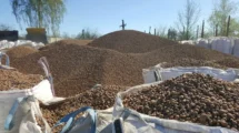 COFFEE PROCESSING