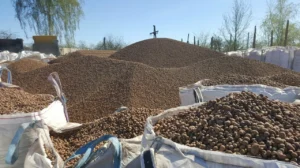 COFFEE PROCESSING