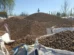COFFEE PROCESSING