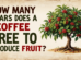 COFFEE TREE
