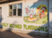FULLY MECHANISED PLANTATIO