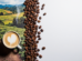 Public Data on Coffee