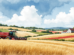 Semi-Mechanized Large Family Farms