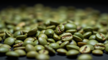 Green Coffee Beans