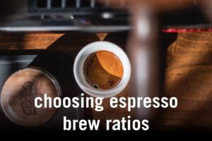 espresso ratio guide