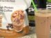 iced coffee nutrition
